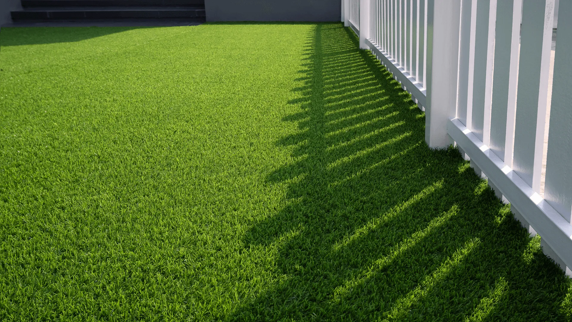 this backyard artificial turf in Scottsdale AZ is reflecting sunlight